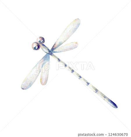 A fragile dragonfly highlighted on a white background. Watercolor illustration. The translucent insect is hand-drawn. An element for the design of gentle greetings, postcards, invitations. A fragile dragonfly highlighted on a white background. Watercolor illustration. The translucent insect is hand-drawn. An element for the design of gentle greetings, postcards, invitations. 124630670