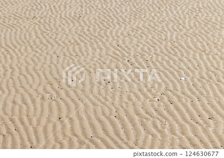 Caspian Sea beach ground. A close-up photo of a sandy surface Caspian Sea beach ground. A close-up photo of a sandy surface 124630677