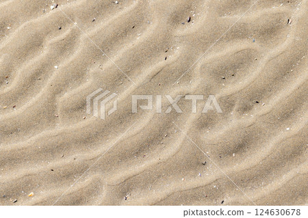 Close-up view of sand with rippled patterns formed by natural processes Close-up view of sand with rippled patterns formed by natural processes 124630678