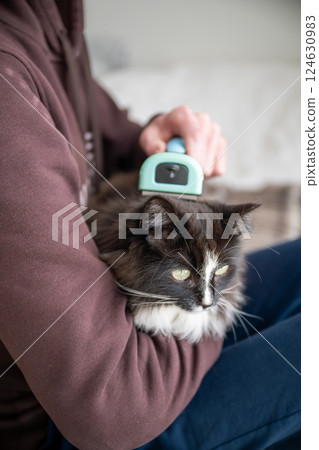 person brushing fur from domestic cat with furminator.  124630983