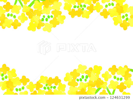Rape blossom top and bottom frame 124631299