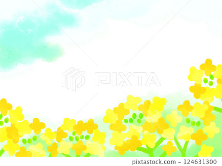 水彩油菜花田 124631300