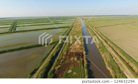 Growing rice on flooded fields. Ripe rice in the field, the beginning of harvesting. A birds-eye view. Growing rice on flooded fields. Ripe rice in the field, the beginning of harvesting. A birds-eye view. 124632294