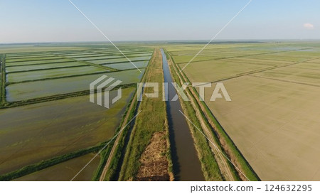 Growing rice on flooded fields. Ripe rice in the field, the beginning of harvesting. A birds-eye view. 124632295