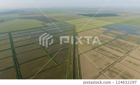 Growing rice on flooded fields. Ripe rice in the field, the beginning of harvesting. A birds-eye view. Growing rice on flooded fields. Ripe rice in the field, the beginning of harvesting. A birds-eye view. 124632297