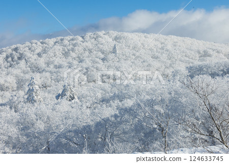 Mountain of fog and ice 124633745