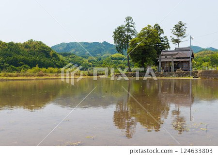 Small shrine and rice field reflection (Yufu City, Oita Prefecture) 124633803