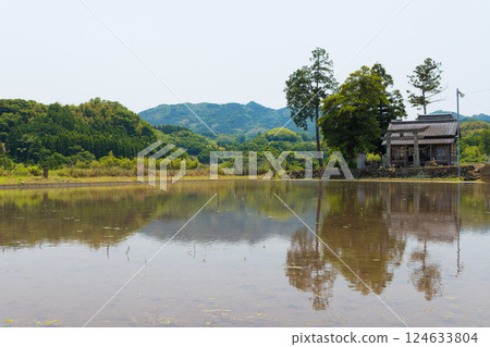 小神社與稻田倒影（大分縣由布市） 124633804