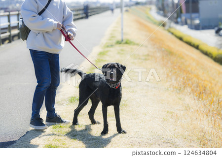 Man walking a dog 124634804
