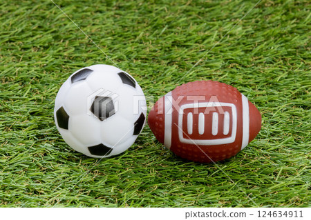 Soccer ball and rugby ball on the grass 124634911