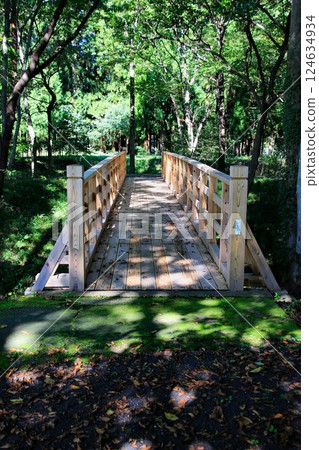 木造建築之美…木橋 124634934