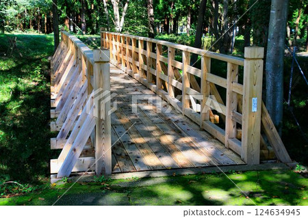 木造建築之美…木橋 木造建築之美…木橋 124634945