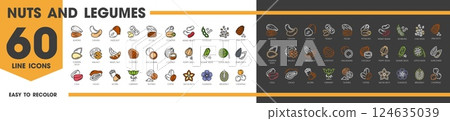 Nuts and legumes line icons. Almond, cashew, hazelnut, peanut and pecan, pistachio, kidney or beans. Soybeans, chia seeds, pine nuts, pumpkin or walnut. Brazil nut and chestnut, macadamia and coconut 124635039