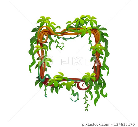 Jungle tropical forest liana green leaves frame with lush exotic plants. Cartoon vector square border template. Game rainforest background with thickets, tree branches vines, foliage and green grass Jungle tropical forest liana green leaves frame with lush exotic plants. Cartoon vector square border template. Game rainforest background with thickets, tree branches vines, foliage and green grass 124635170
