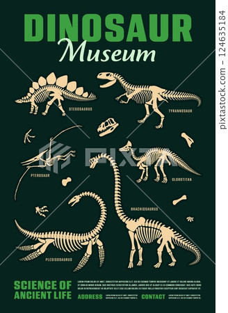 Dinosaur skeleton fossils for dino museum poster with Jurassic lizards, vector background. Prehistoric dinosaur and reptiles museum poster for paleontology exhibition of dino skeleton fossils 124635184