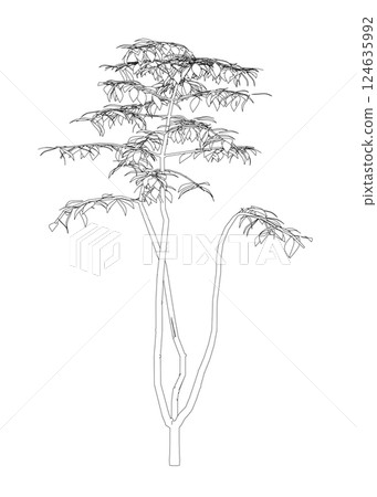 Outline of a tree from black lines isolated on a white background. 3D. Vector illustration. Outline of a tree from black lines isolated on a white background. 3D. Vector illustration. 124635992