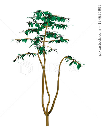 Polygonal tree model isolated on white background. 3D. Vector illustration. Polygonal tree model isolated on white background. 3D. Vector illustration. 124635993