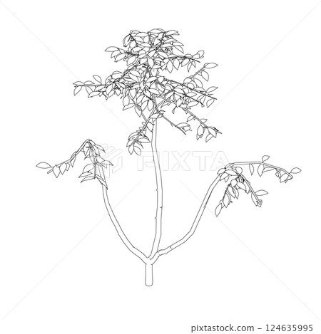 Outline of a tree from black lines isolated on a white background. 3D. Vector illustration. Outline of a tree from black lines isolated on a white background. 3D. Vector illustration. 124635995