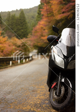 Scenery with autumn leaves and motorcycle Scenery with autumn leaves and motorcycle 124636212