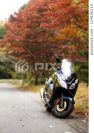 秋葉與摩托車的風景 秋葉與摩托車的風景 124636214