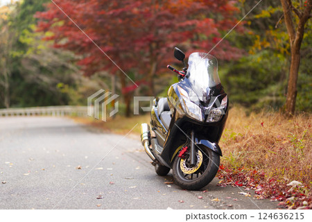 Scenery with autumn leaves and motorcycle Scenery with autumn leaves and motorcycle 124636215
