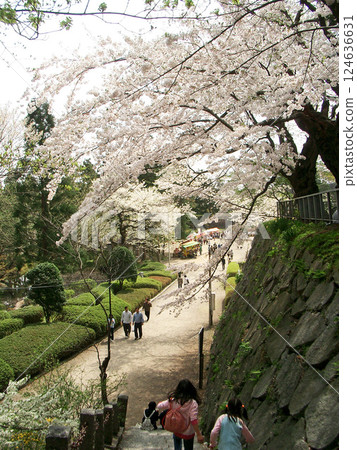 The stone steps leading from Sannomaru to the multipurpose plaza at Morioka Castle Ruins Park (Morioka City, Iwate Prefecture) 124636631