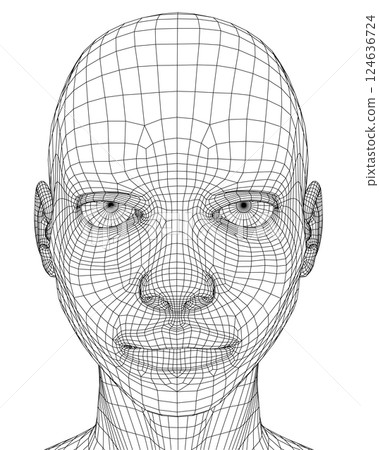 Wireframe of a girl head with a displeased facial expression from black lines isolated on a white background. 3D. Vector illustration. Wireframe of a girl head with a displeased facial expression from black lines isolated on a white background. 3D. Vector illustration. 124636724
