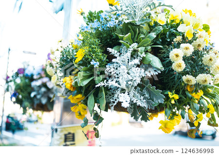 Hanging basket Flower basket 124636998