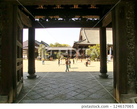 The grounds of Daidouji Temple in Nagahama City, Shiga Prefecture The grounds of Daidouji Temple in Nagahama City, Shiga Prefecture 124637065