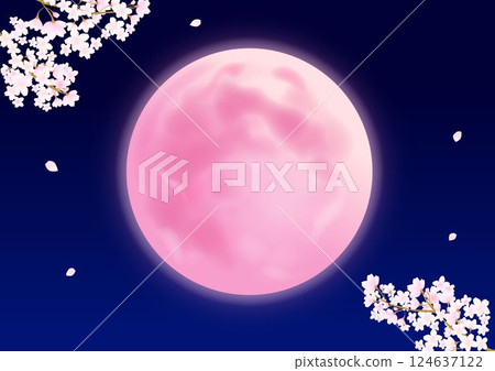Pink moon and cherry blossom petals 124637122