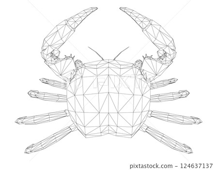polygonal crab polygonal crab 124637137
