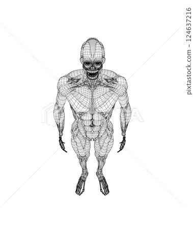 Human body anatomy male man wireframe , muscular system of muscles . Flat medical scheme poster of training healthcare gym wireframe, vector illustration. Male body muscular system sketch drawing. 3D. 124637216