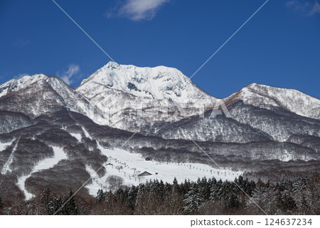 妙高高原，晴朗的雪天。滑雪場沿著妙高山山麓延伸。 124637234