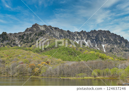 被新綠包圍的戸隠高原 被新綠包圍的戸隠高原 124637246