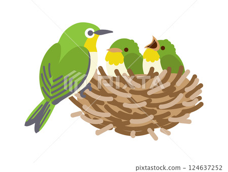 繡眼鳥養幼鳥的圖畫 繡眼鳥養幼鳥的圖畫 124637252