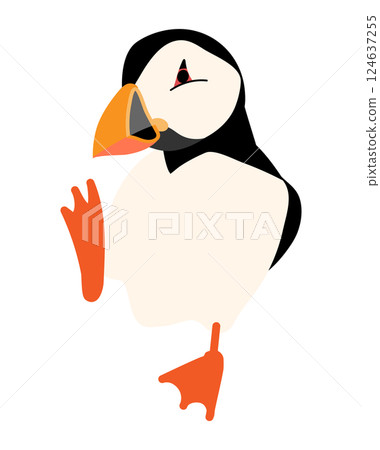 Puffin Puffin 124637255