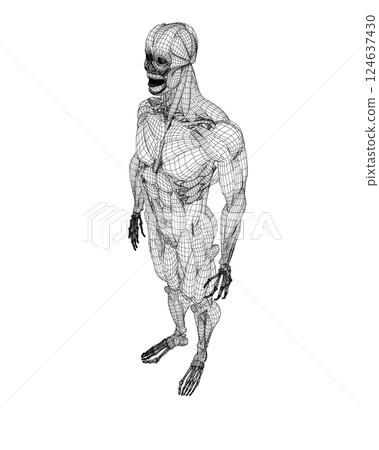 Human body anatomy male man wireframe , muscular system of muscles . Flat medical scheme poster of training healthcare gym wireframe, vector illustration. Male body muscular system sketch drawing. 3D. Human body anatomy male man wireframe , muscular system of muscles . Flat medical scheme poster of training healthcare gym wireframe, vector illustration. Male body muscular system sketch drawing. 3D. 124637430