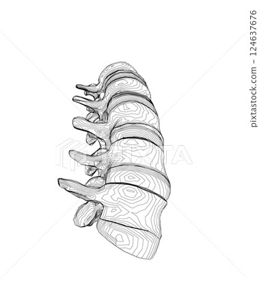 Vector illustration spine diagnostic symbol, design, sign. Vector icon. Line design. Spine bones and structure. Medicine and anatomy. Anatomical structure of man. Concept illustration. Vector illustration spine diagnostic symbol, design, sign. Vector icon. Line design. Spine bones and structure. Medicine and anatomy. Anatomical structure of man. Concept illustration. 124637676