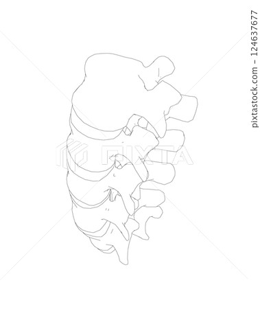 Vector illustration spine diagnostic symbol, design, sign. Vector icon. Line design. Spine bones and structure. Medicine and anatomy. Anatomical structure of man. Concept illustration. Vector illustration spine diagnostic symbol, design, sign. Vector icon. Line design. Spine bones and structure. Medicine and anatomy. Anatomical structure of man. Concept illustration. 124637677