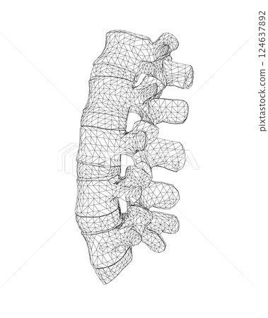 Vector illustration spine diagnostic symbol, design, sign. Vector icon. Line design. Spine bones and structure. Medicine and anatomy. Anatomical wireframe structure of man. Concept illustration. Vector illustration spine diagnostic symbol, design, sign. Vector icon. Line design. Spine bones and structure. Medicine and anatomy. Anatomical wireframe structure of man. Concept illustration. 124637892