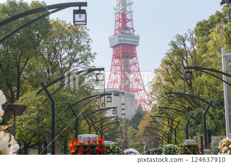 [Japan] Tokyo Tower seen across the street lights and trees lining the streets of Shiba Park in Minato Ward, Tokyo 124637910