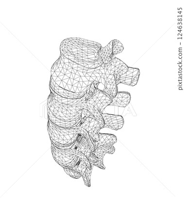 Vector illustration spine diagnostic symbol, design, sign. Vector icon. Line design. Spine bones and structure. Medicine and anatomy. Anatomical wireframe structure of man. Concept illustration. Vector illustration spine diagnostic symbol, design, sign. Vector icon. Line design. Spine bones and structure. Medicine and anatomy. Anatomical wireframe structure of man. Concept illustration. 124638145