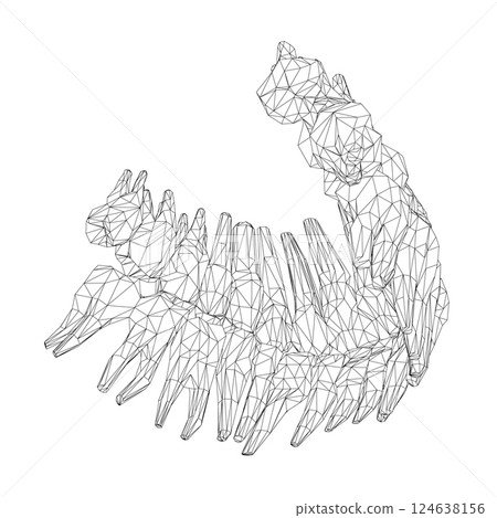 Teeth wireframe. Hand drawn different types of human tooth collection. Dentist graphic template. Engraving fangs and molars. Dental oral care. Toothache treatment. Vector stomatology set. 3D Teeth wireframe. Hand drawn different types of human tooth collection. Dentist graphic template. Engraving fangs and molars. Dental oral care. Toothache treatment. Vector stomatology set. 3D 124638156