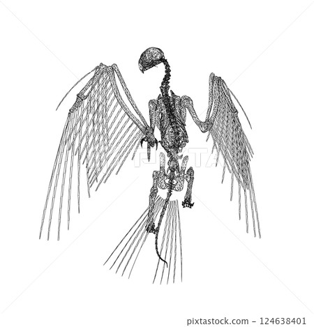 Bird animal skeleton vector illustration isolated on white background, Hand draw skeleton raven. Digital doodle Animal skull bones, skeleton vector silhouette illustration isolated on white background 124638401