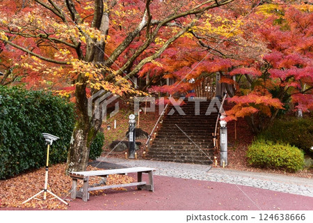 伊豆市：修善寺「匠村」入口與「虹之鄉」的紅葉 124638666