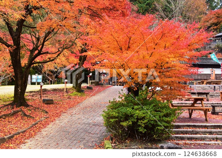 Izu City: Autumn foliage walking trails and restaurants in Izu Village, Shuzenji Niji no Sato Izu City: Autumn foliage walking trails and restaurants in Izu Village, Shuzenji Niji no Sato 124638668