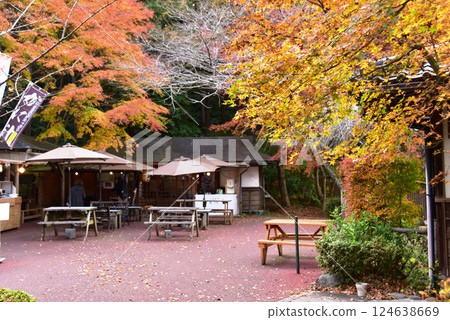Autumn leaves and restaurants in Izu Village, Shuzenji Niji no Sato, Izu City 124638669