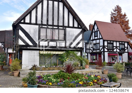 伊豆市:修善寺虹之裡的英語村、秋葉和散步道 伊豆市:修善寺虹之裡的英語村、秋葉和散步道 124638674