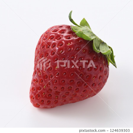 甘王草莓 124639303