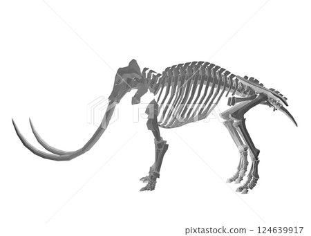 Vector Illustration of polygonal Mammoth Skeleton on Isolated White Background. Vector prehistoric polygonal skeleton of mammoth on white background isolated illustration. 3D. Vector Illustration of polygonal Mammoth Skeleton on Isolated White Background. Vector prehistoric polygonal skeleton of mammoth on white background isolated illustration. 3D. 124639917